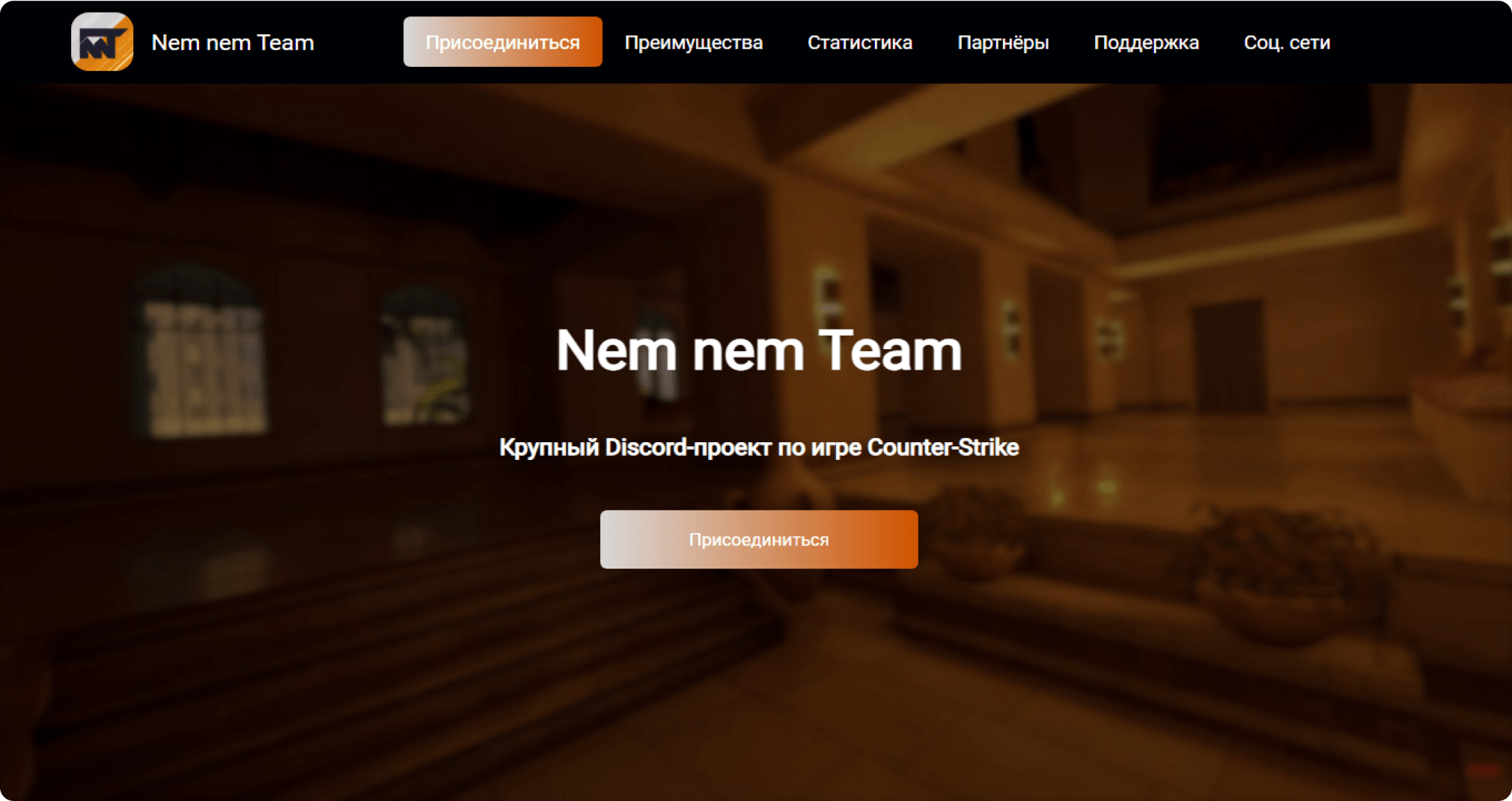 Nem nem Team